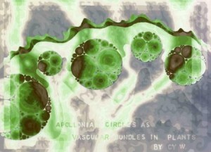 C11 2 Apollonian Circles as Vascular Bundles in Plants