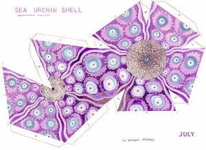 K15-07-Sea-urchin